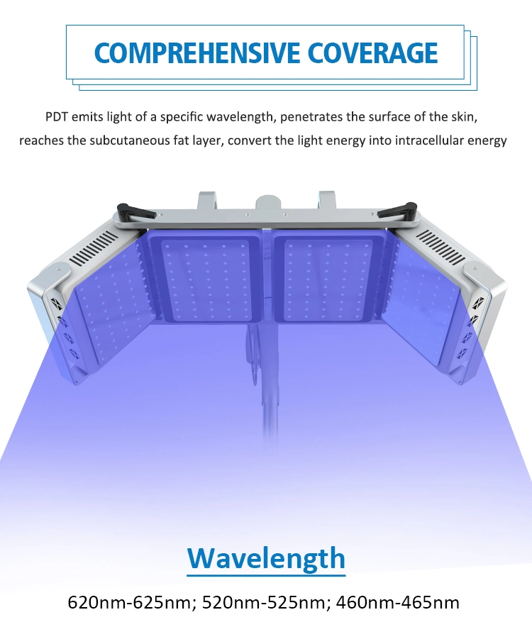 LED PDT Light Treatment Therapy Whitening Skin Rejuvenation Beauty Machine